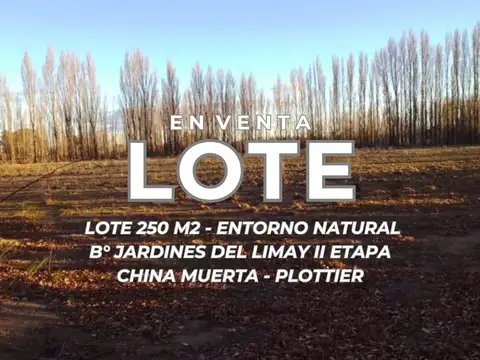 VENTA LOTE B°JARDINES DEL LIMAY CHINA MUERTA