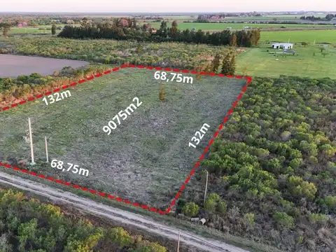 TERRENO EN AVELLANEDA 