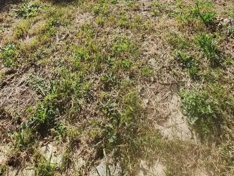 Casa en Venta en San Antonio de Padua, USD 44.000