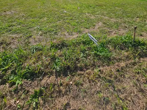 Venta Terreno 624 m² en Barrio Las Acequias Roldán Lote 276