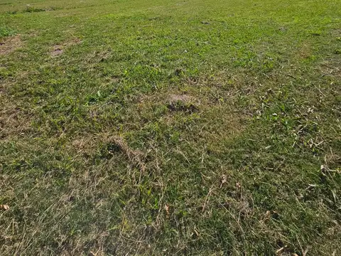 Terreno en Venta 18  mts Frente