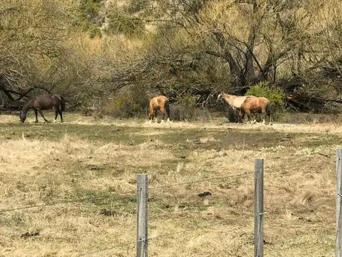 Campo en Venta de 1.630  ha