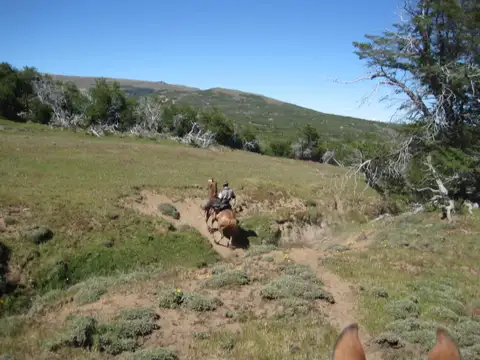 Campo en Venta de 1.630  ha