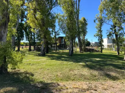 Lote en venta en Gonnet, En PUEBLO 1