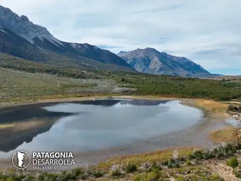 cholila