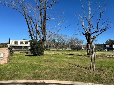 Terreno interno Azzurra Tortugas