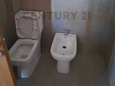 Maza y Palma