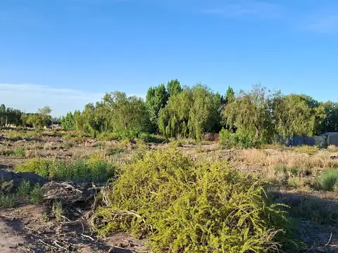 Terreno en Venta de 7100,0 m2