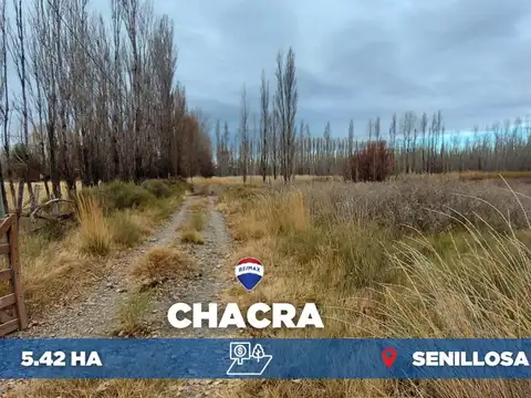 Venta chacra 5,42 ha - senillosa