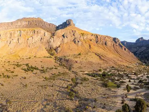Terreno en Venta de 30000,0 m2