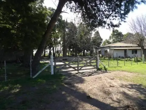 Ruta 20 Km 81.5