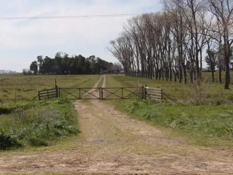CAMPO EN VENTA RUTA 20 KM 81.5 CHASCOMUS