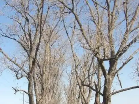 CAMPO EN VENTA RUTA 20 KM 81.5 CHASCOMUS