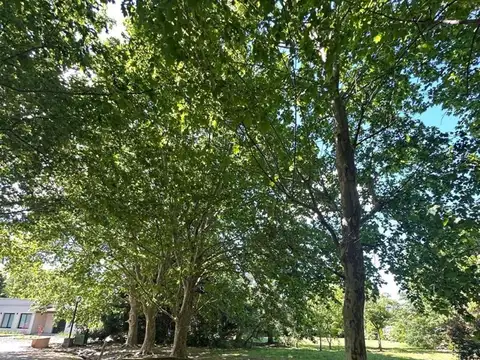 Terreno Lote  en Venta en La Cañada Polo Club, Luján, G.B.A. Zona Oeste