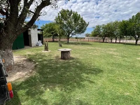 CAMPO MIXTO 385 HA CON RENTA VIGENTE - RIO PRIMERO