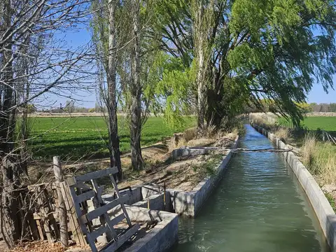 Chacra en Gaiman, Chubut, Patagonia