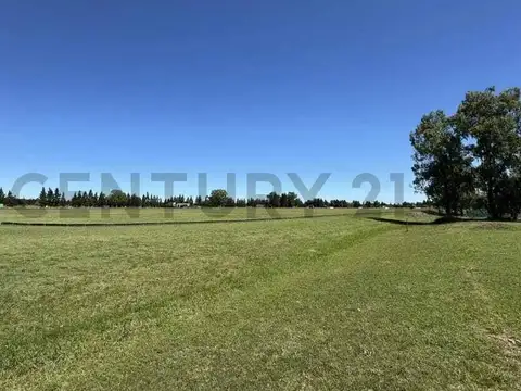 Terreno en Venta 50  mts Fondo