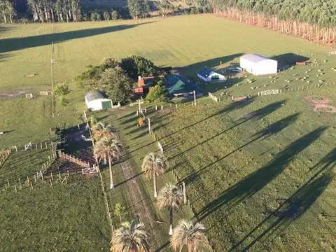 Estancia Grande 100