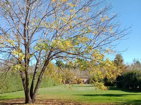 Terreno en Venta en Pilar, USD 58.000