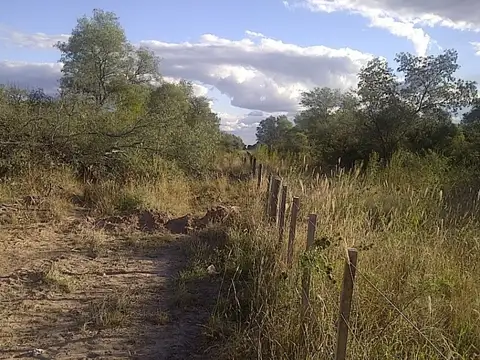 VENTA DE 87 HECTAREAS EN SANTIAGO DEL ESTERO