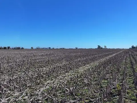 VENTA campo agrícola en Llambi Campbell