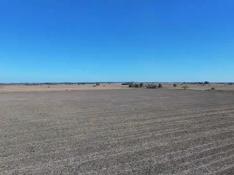 VENTA campo agrícola en Llambi Campbell