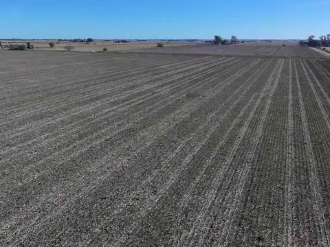 VENTA campo agrícola en Llambi Campbell