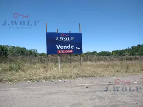Ricchieri y Vieytes