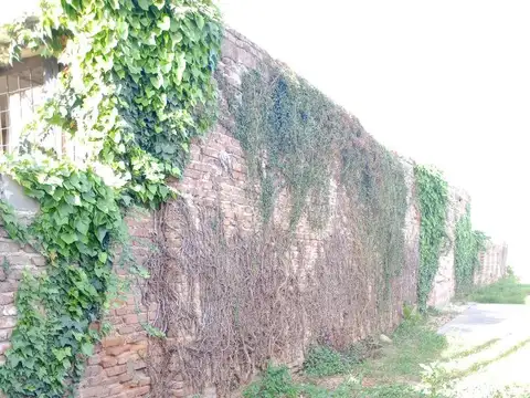 Guadarrama 2500