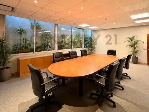 DARDO ROCHA    3194 , Piso 1