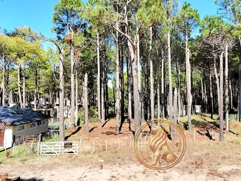 Terreno en Venta en Pinamar, USD 95.000