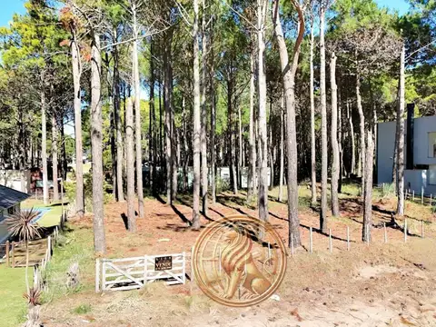 Terreno en Venta 26  mts Frente