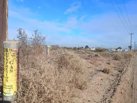 VENTA DE LOTE EN PARQUE INDUSTRIAL PLOTTIER