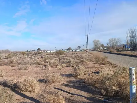 Rafael Obligado LOTE 100