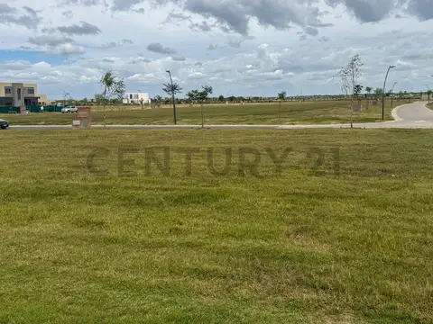Terreno en Venta 31  mts Fondo
