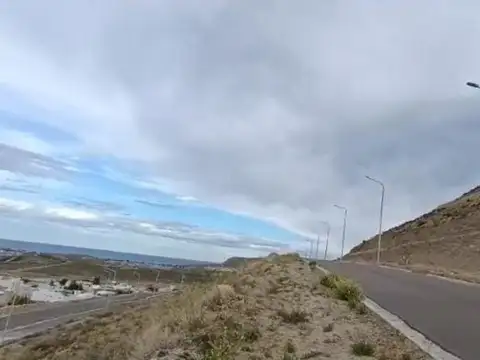 Echeverri 100