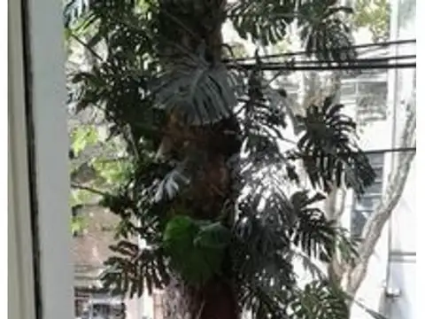 Soldado De La Independecia  1700