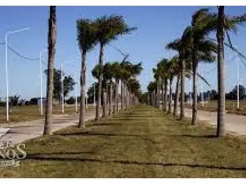 Tierra de Sueños - Arroyo Seco - RN N° 21