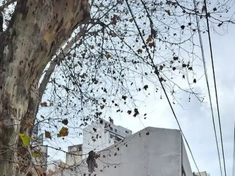 Avenida Corrientes 4800