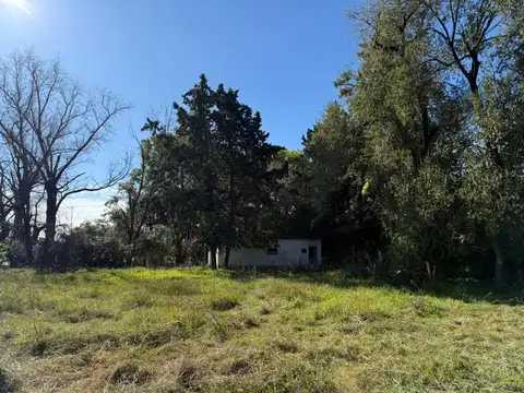 El Tigre 2900
