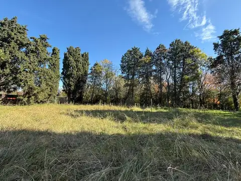 El Tigre 2900