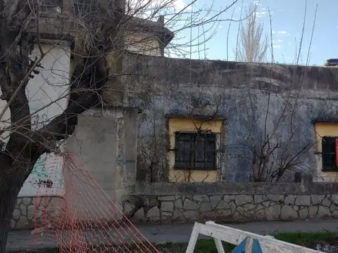 Saavedra 1800