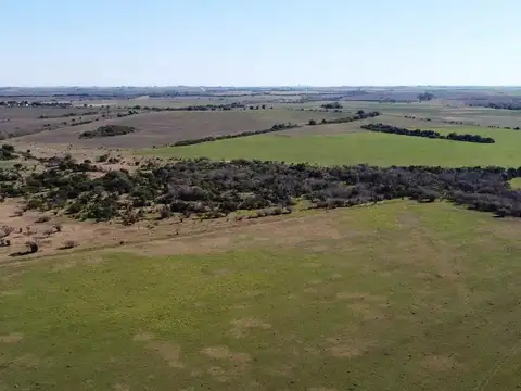 CAMPO MIXTO 556 HAS CON CASCO DE ESTANCIA URUGUAY