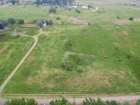 Terreno en Venta de 10000,0 m2