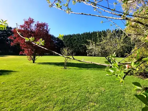 Quinta - Venta - Argentina, Miramar - calle 60 2200