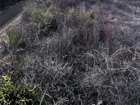 Terreno en Venta en Caucete, $ 8.000