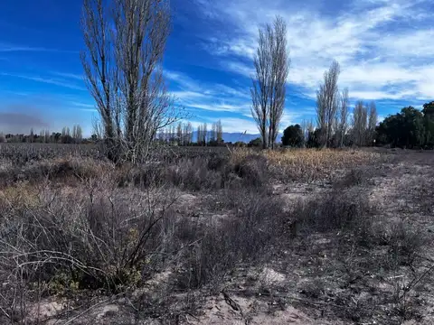 Terreno en Venta de 850,0 m2