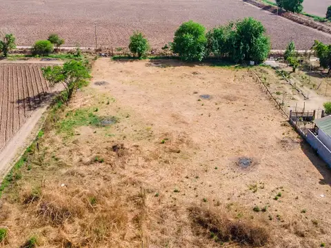 Terreno en Venta de 5000,0 m2