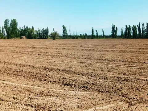 VENTA FINCA PRODUCTIVA LOS CORRALITOS GUAYMALLEN