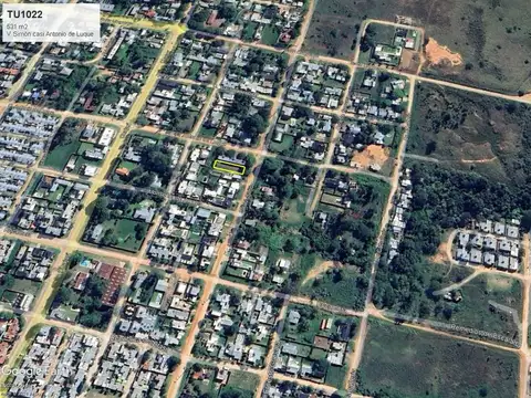 Victorino Simón y Antonio de Luque 100